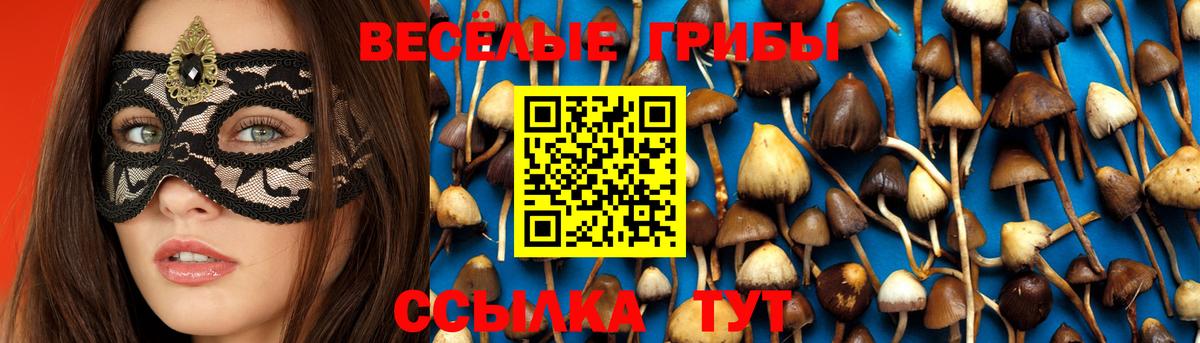 Галлюциногенные грибы мицелий  Вход с VPN  Ивантеевка 
