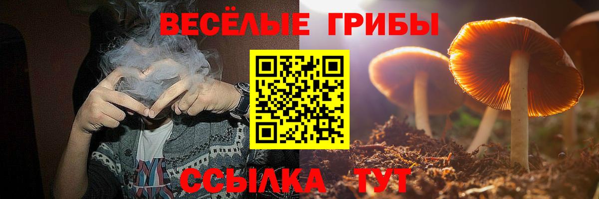 Псилоцибиновые грибы ЛСД Ивантеевка